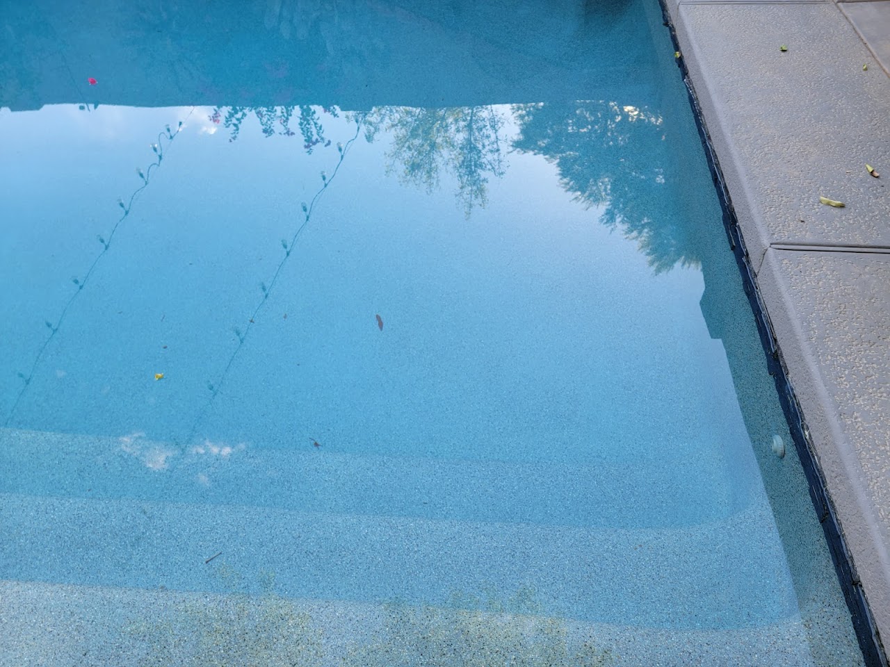 Water Boss Pool Care LLC project